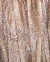 Мех пастелевая норка Saga Furs